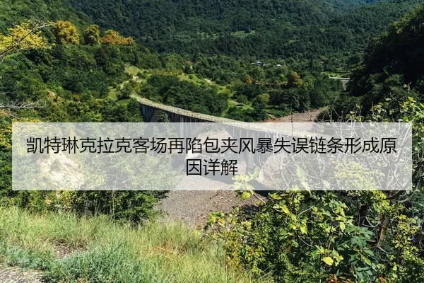 kai-te-lin-ke-la-ke-ke-chang-zai-xian-bao-jia-feng-bao-shi-wu-lian-tiao-xing-cheng-yuan-yin-xiang-jie-2-290.jpg