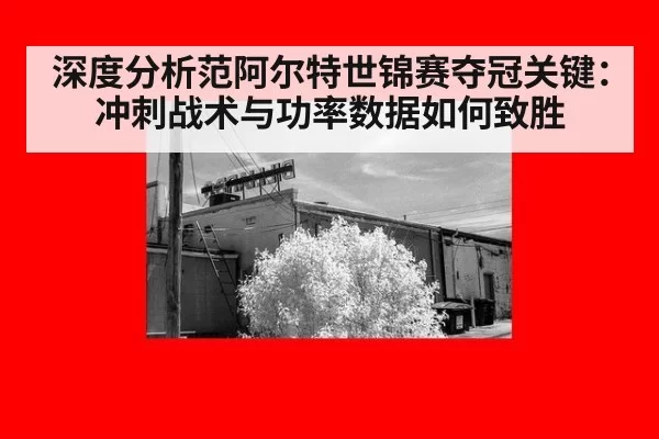 深度分析范阿尔特世锦赛夺冠关键：冲刺战术与功率数据如何致胜