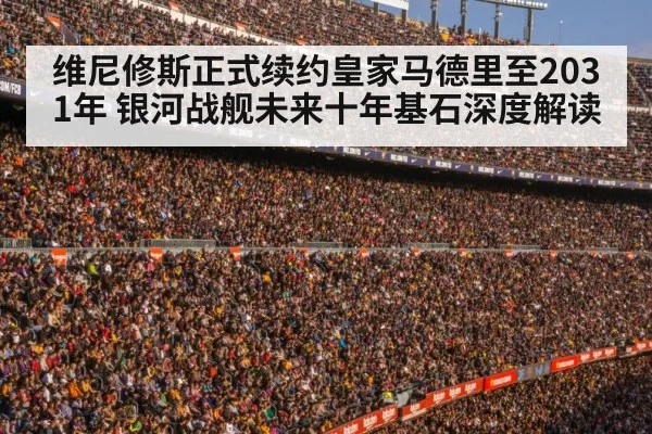 football stadium crowd